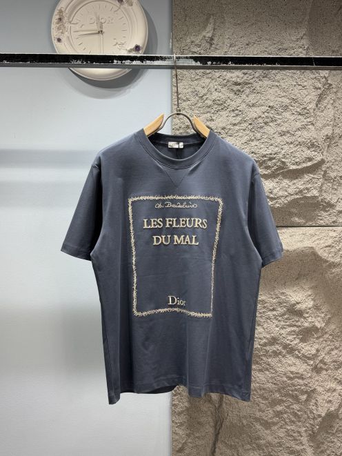 ディオール n級 半袖Tシャツ フロント刺繍グラフィックデザイン アートスタイル 精密ディテール