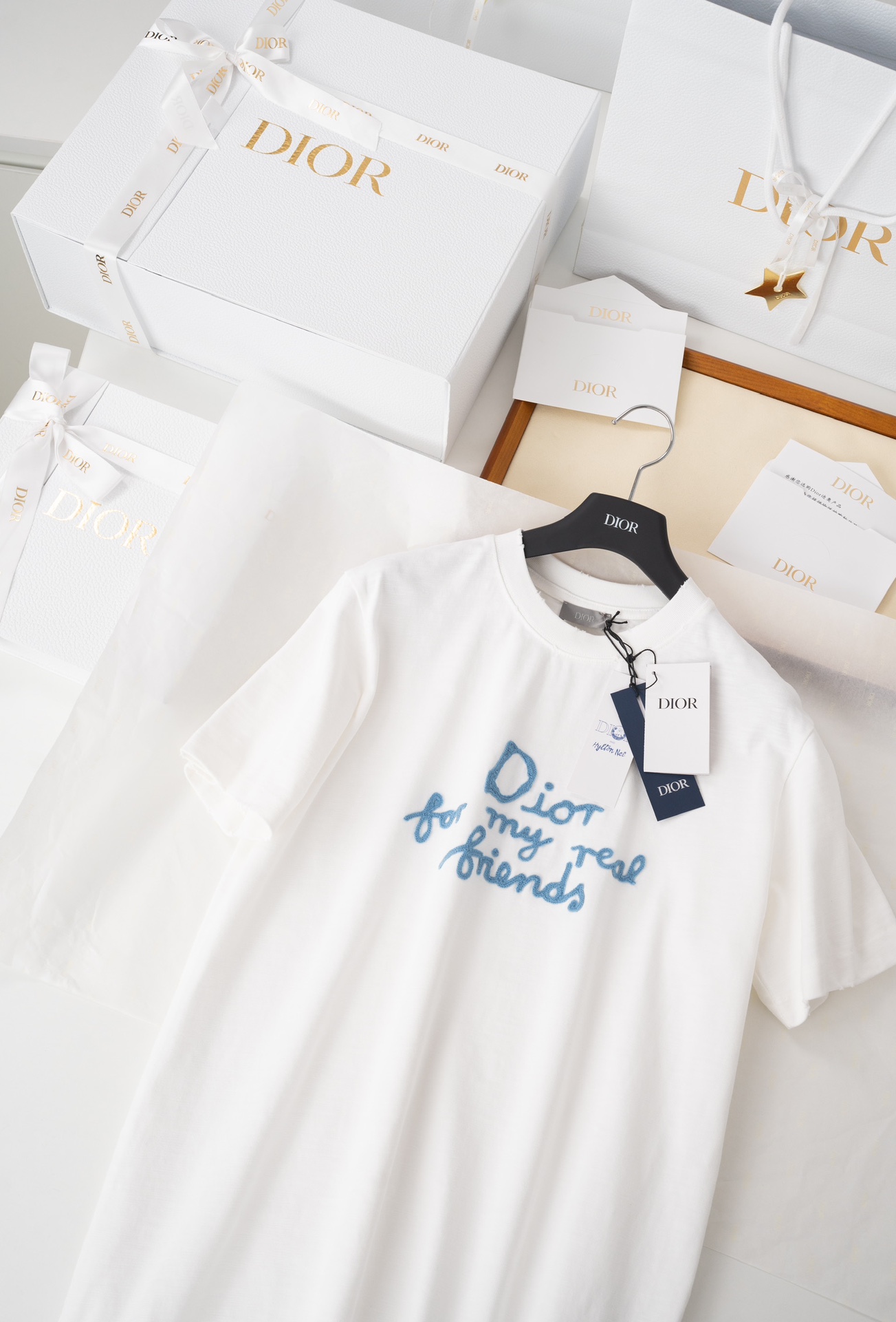 dior tシャツ偽物 ゆったり プリント 純綿 トップス 半袖 シンプル ホワイト_5