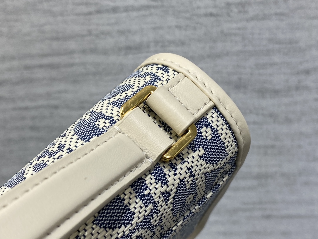 dior カバンスーパーコピー 優雅レディ 斜め掛けバッグ 本革 レザー ミニ 日常 ブルー_3