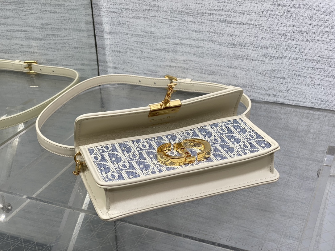 dior カバンスーパーコピー 優雅レディ 斜め掛けバッグ 本革 レザー ミニ 日常 ブルー_5