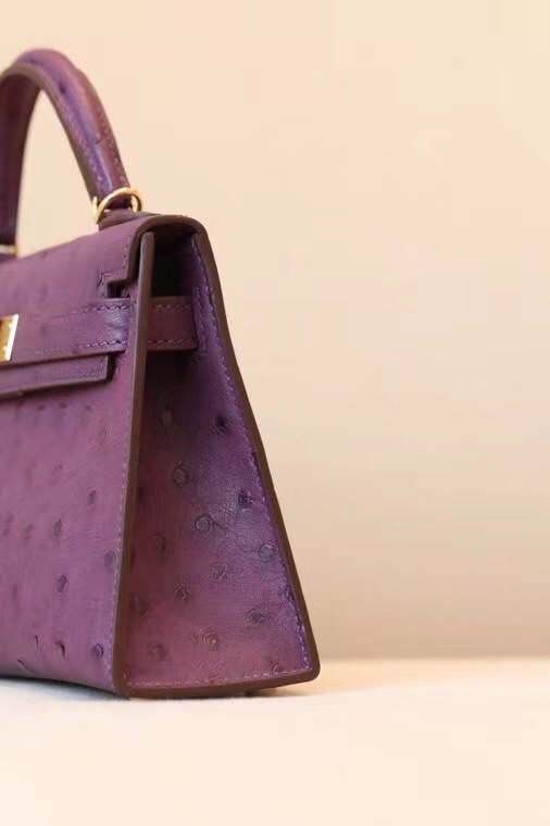 最新商品 エルメス バッグ コレクションスーパーコピー 牛革 ハンドバッグ 優雅 優雅レディ パープル_5