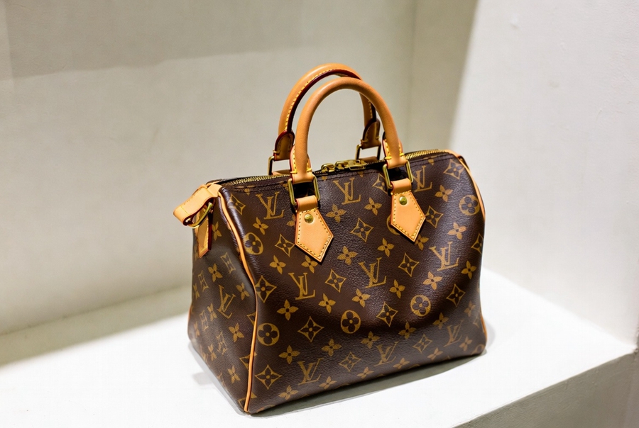  louis-vuitton-speedy (4).jpg