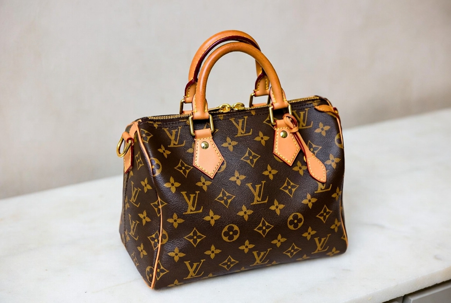  louis-vuitton-speedy (2).jpg