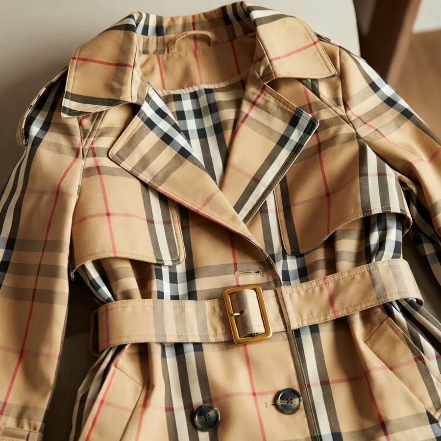 burberry-trench-detail-copy-20241113 (3).jpg