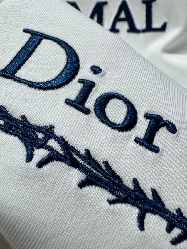 ディオール ブランド コピー 半袖Tシャツ フロントグラフィックデザイン アートプリント 上質感_6