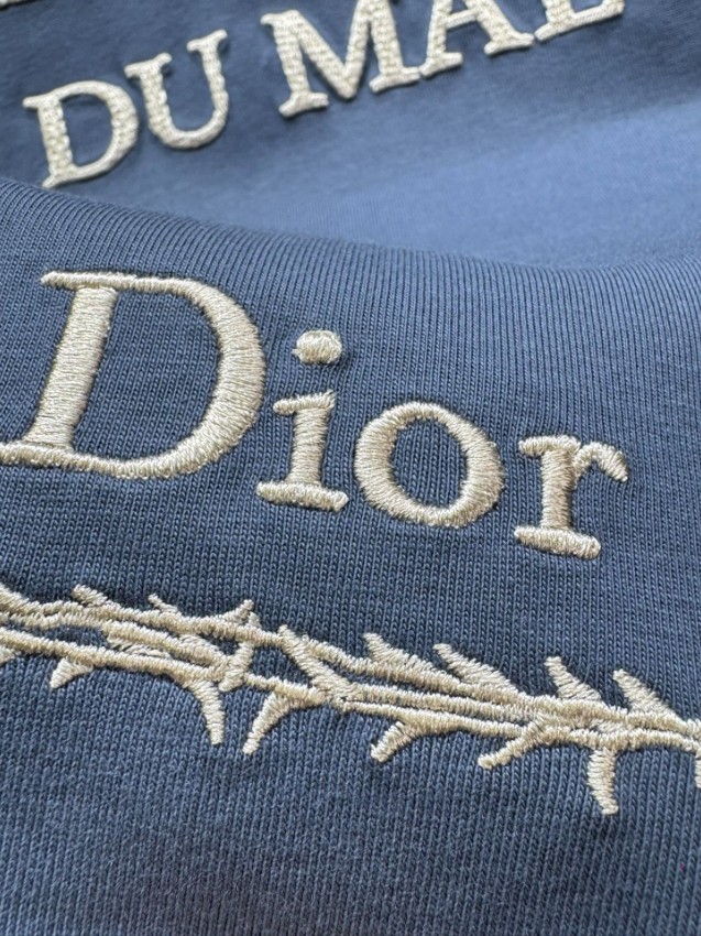 ディオール n級 半袖Tシャツ フロント刺繍グラフィックデザイン アートスタイル 精密ディテール_6