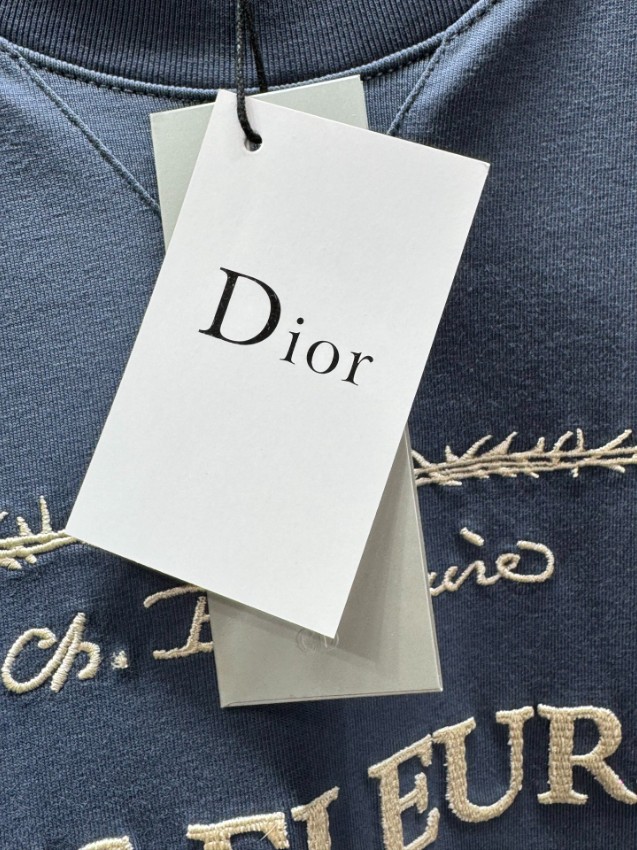 ディオール n級 半袖Tシャツ フロント刺繍グラフィックデザイン アートスタイル 精密ディテール_8